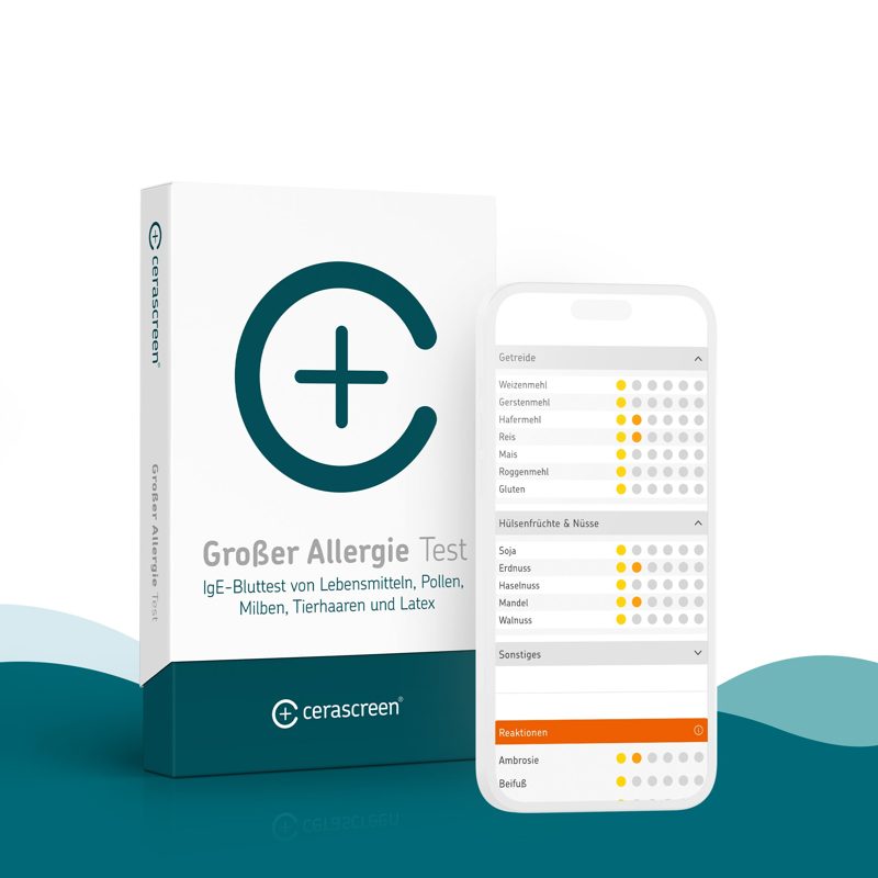 Cerascreen Großer Allergie Test, Testkit mit Trockenblut-Karte und Lanzetten